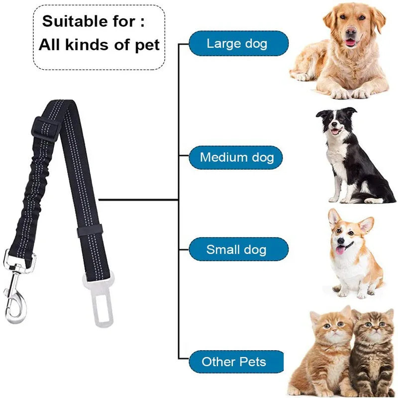 2-in-1 Bungee Dog Leash & Car Seat Belt