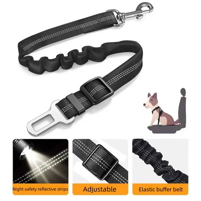 2-in-1 Bungee Dog Leash & Car Seat Belt