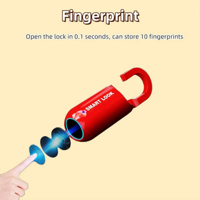 Mini Biometric Fingerprint Smart Padlock