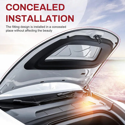 Tesla Door Weather Seal Kit