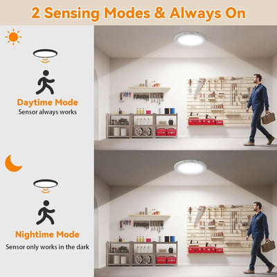 Motion Sensor Ceiling Light