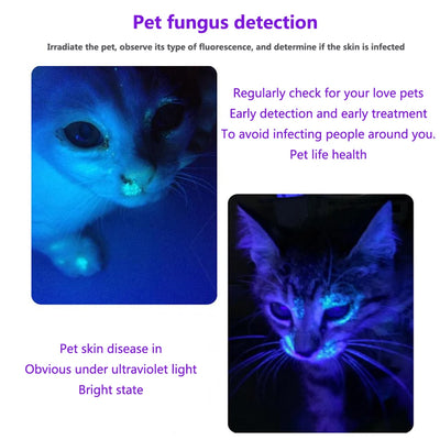 Mini UV Penlight 365nm/395nm