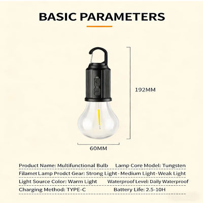 Bulb Light - Solar & Type-C Charging