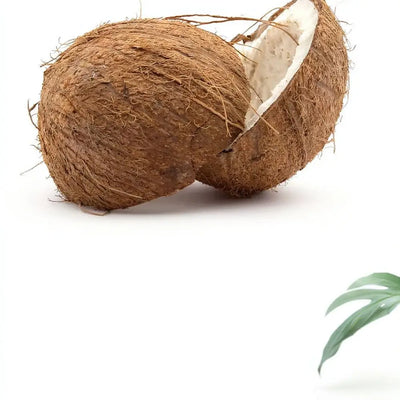 Compressed Coconut Coir Brick