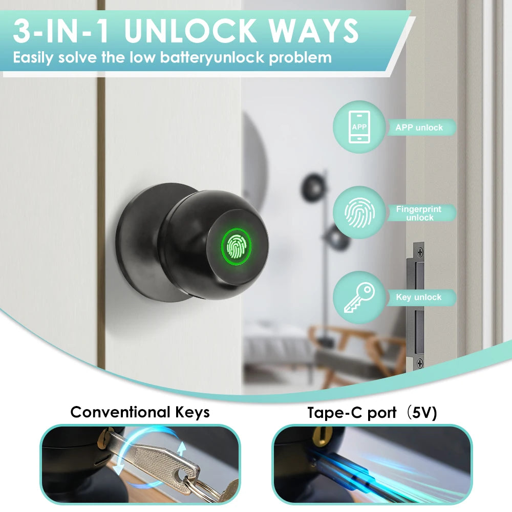 Smart Keyless Entry Door Lock (3-in-1)