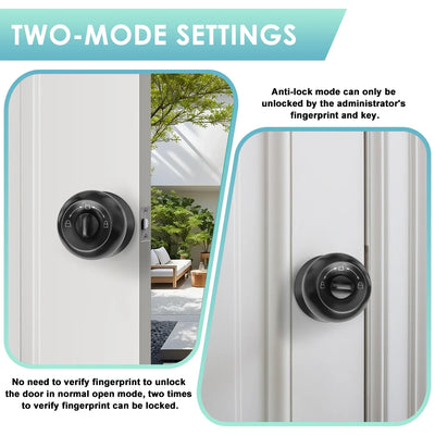 Smart Keyless Entry Door Lock (3-in-1)