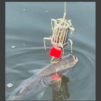 8 Hook Carp Fishing Rig