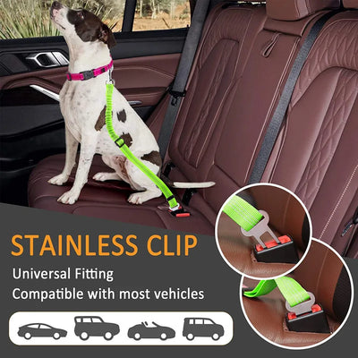 2-in-1 Bungee Dog Leash & Car Seat Belt